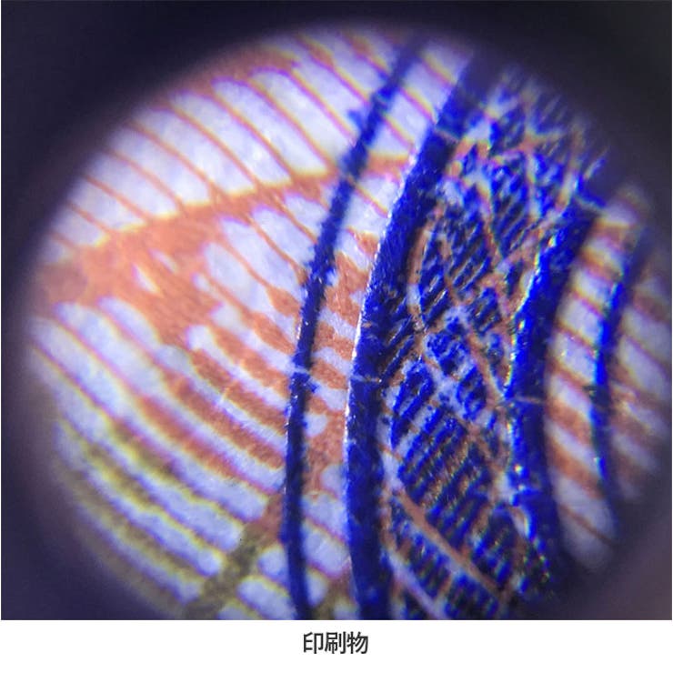 ルーペ LEDライト付き 虫眼鏡 | BACKYARD FAMILY | 詳細画像14 