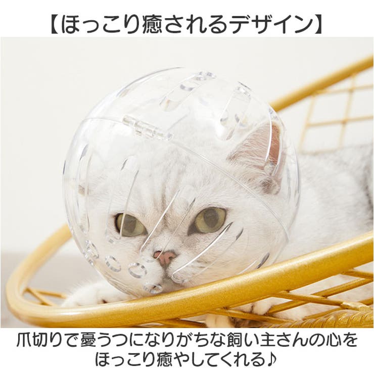爪切りマスク 猫用品[品番：BCYW0032978]｜BACKYARD FAMILY