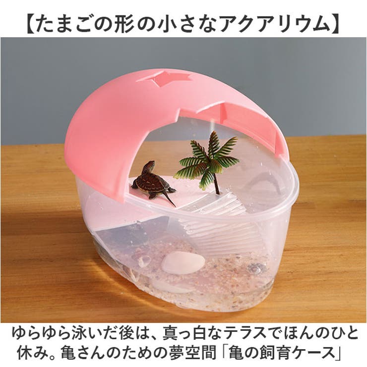 Amazon | QWASKJ カメ ケージ 飼育ケース 亀 浮島 多機能 水