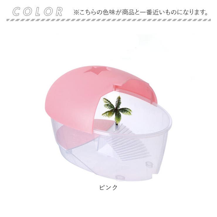 亀用水槽 飼育ケース[品番：BCYW0033013]｜BACKYARD FAMILY