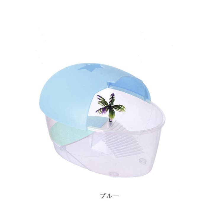 亀用水槽 飼育ケース[品番：BCYW0033013]｜BACKYARD FAMILY