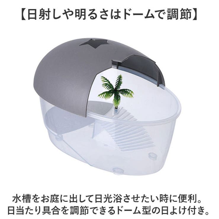 温室・飼育ケース mikaduki Amazon | EINEY カメ用水槽 亀の水槽 水槽 亀 タートルボックス