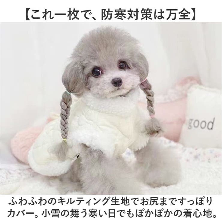 ペット ジャケット 防寒 リング付き かわいい | BACKYARD FAMILY | 詳細画像3 