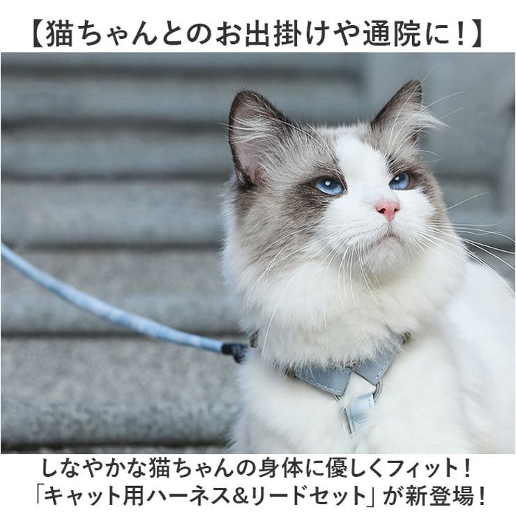 ペット用 犬猫 ハーネス リードセット | BACKYARD FAMILY | 詳細画像2 