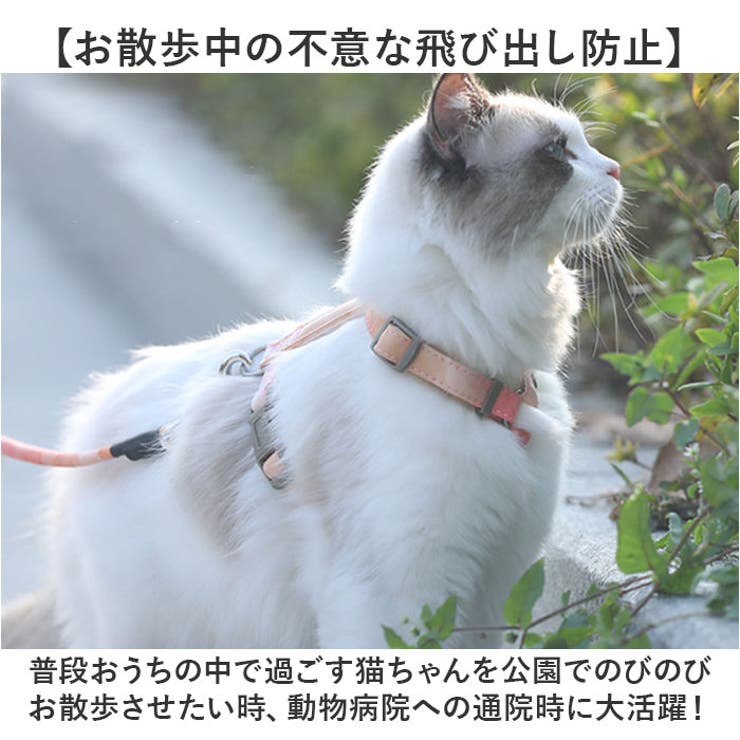ペット用 犬猫 ハーネス リードセット | BACKYARD FAMILY | 詳細画像12 