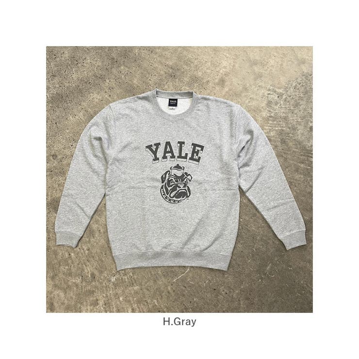 美品 THE BOOK STORE YALEスウェット F 美品 THE BOOK STORE YALEスウェット F