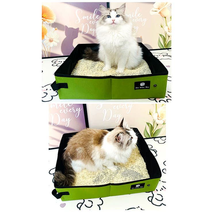 携帯猫トイレ 折りたたみ | BACKYARD FAMILY | 詳細画像5 