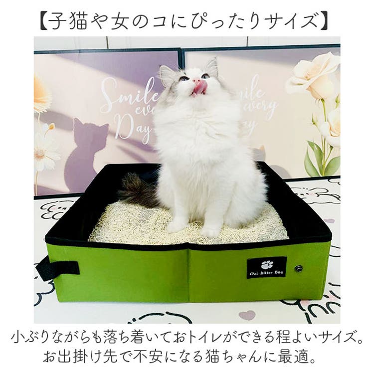 携帯猫トイレ 折りたたみ | BACKYARD FAMILY | 詳細画像8 
