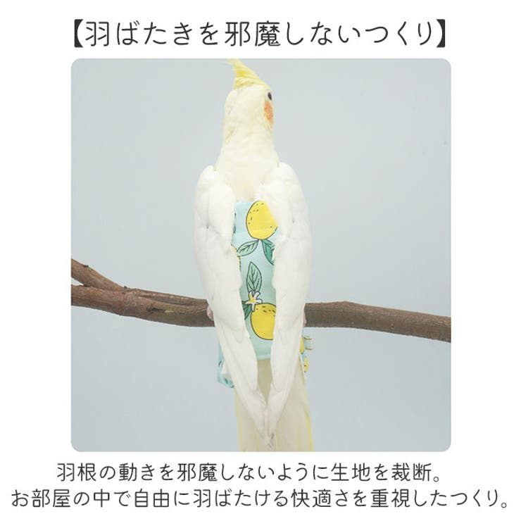鳥用おむつ インコ おむつ 鳥服 | BACKYARD FAMILY | 詳細画像6 