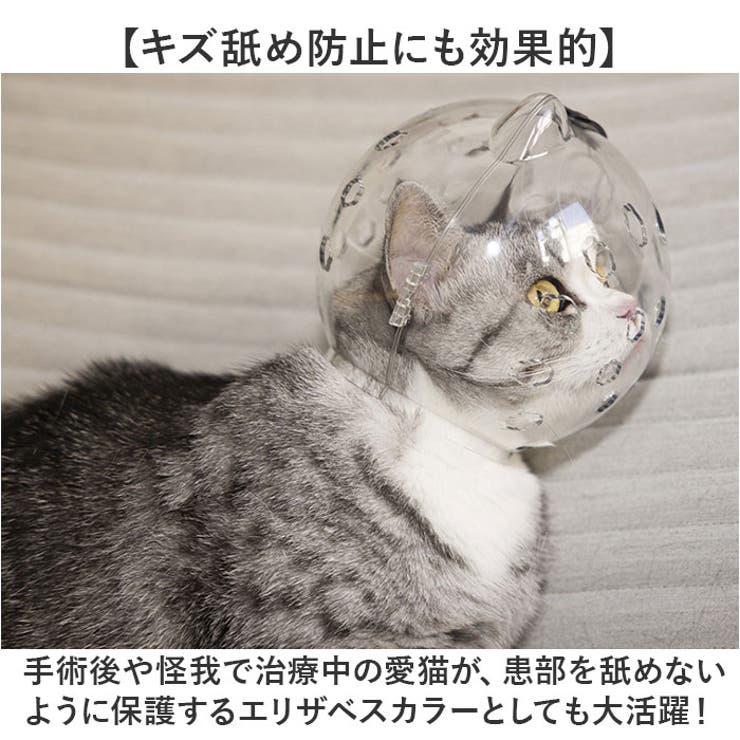 猫用品 爪切り マスク | BACKYARD FAMILY | 詳細画像7 