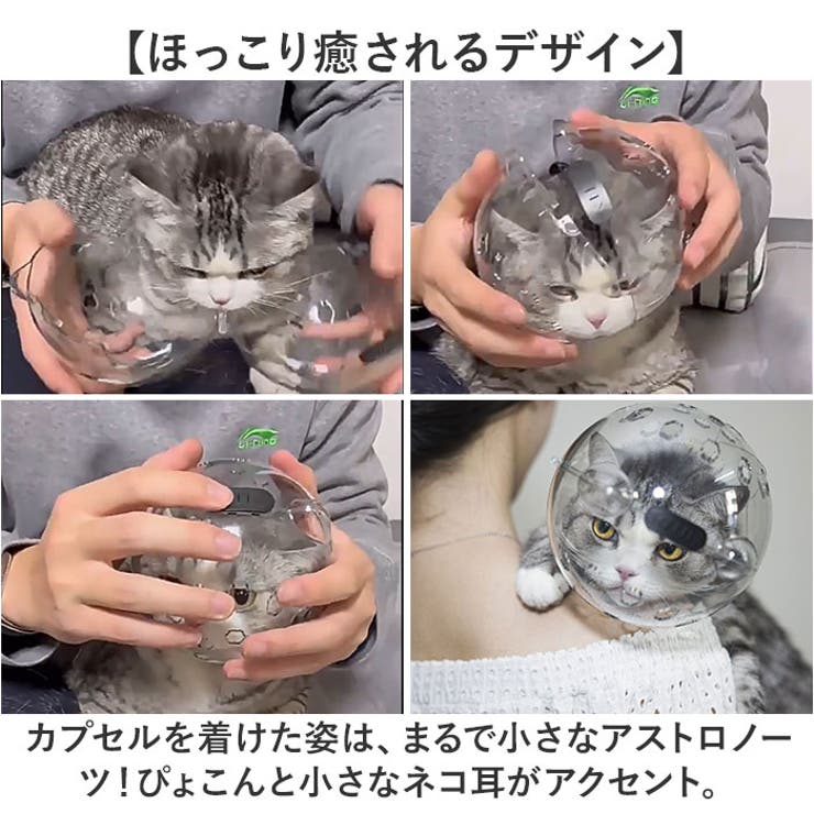 猫用品 爪切り マスク | BACKYARD FAMILY | 詳細画像9 