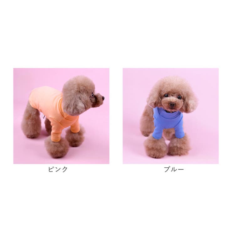 Tシャツ カットソー インナー秋冬 ドッグウェア | BACKYARD FAMILY | 詳細画像18 
