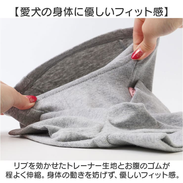 Tシャツ カットソー インナー秋冬 ドッグウェア | BACKYARD FAMILY | 詳細画像6 