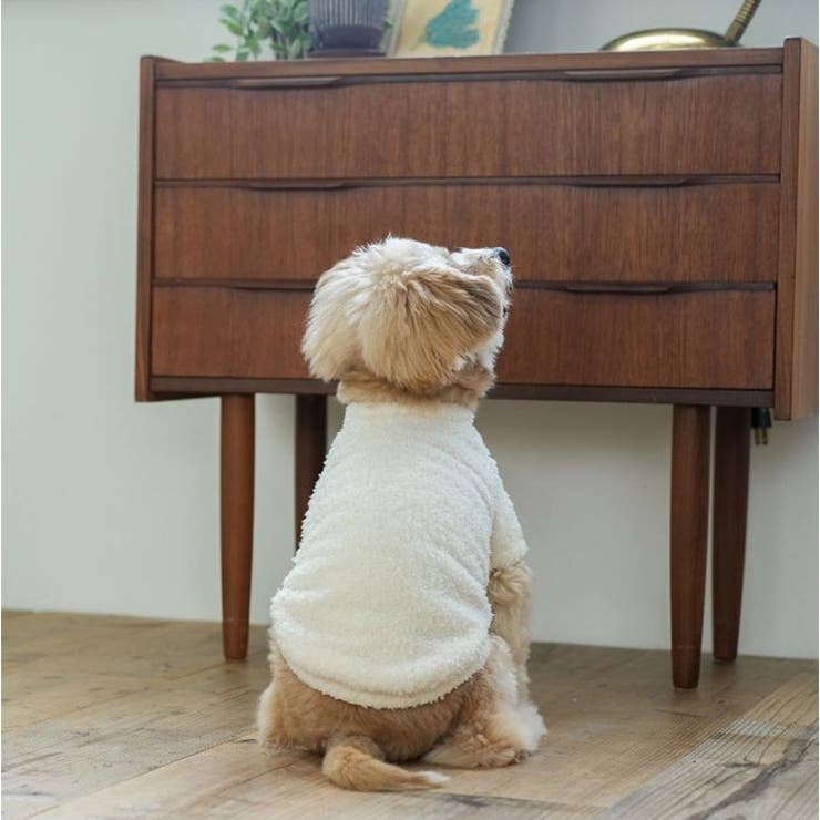 セーター ニット 秋冬 ドッグウェア | BACKYARD FAMILY | 詳細画像3 