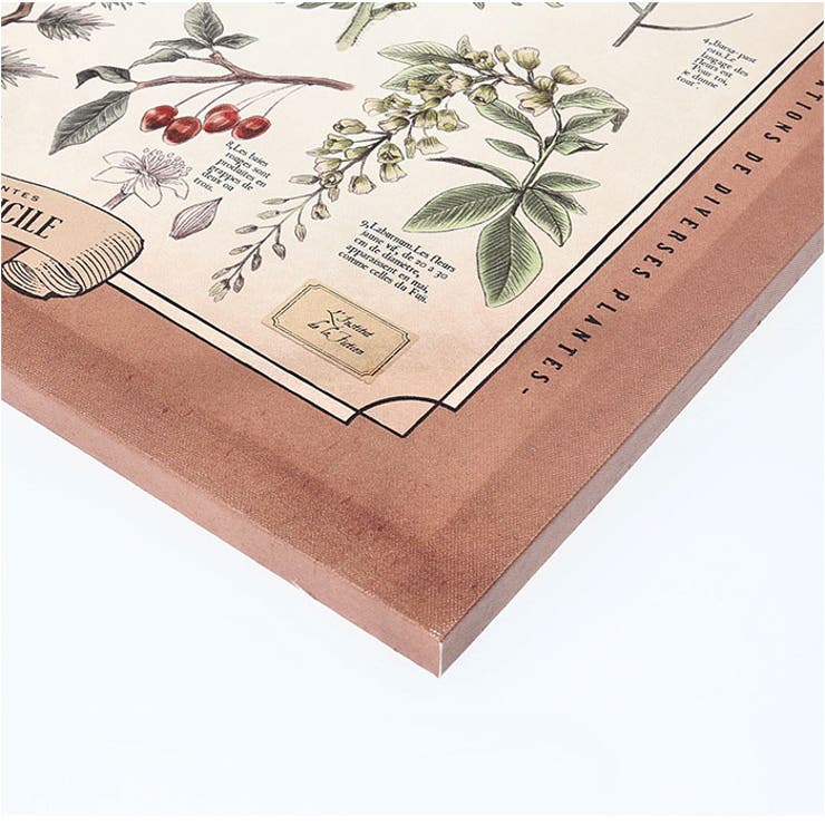 ファブリックパネル SQ[品番：BCYW0032993]｜BACKYARD FAMILY