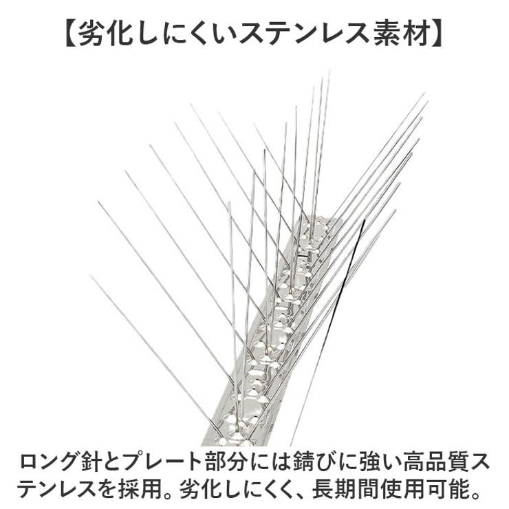 鳥よけスパイク ステンレス製 | BACKYARD FAMILY | 詳細画像4 