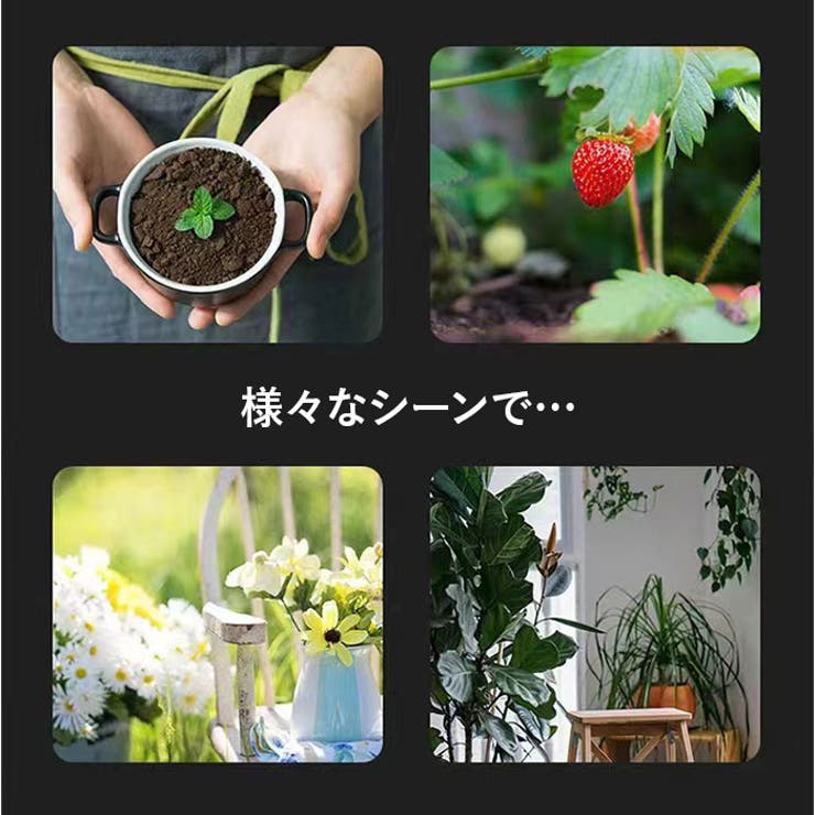 土壌