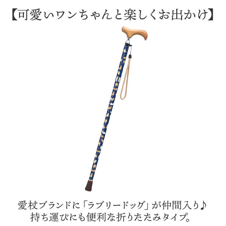 杖