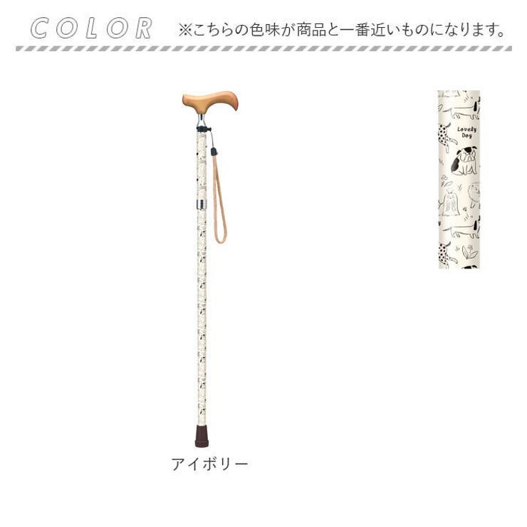 杖