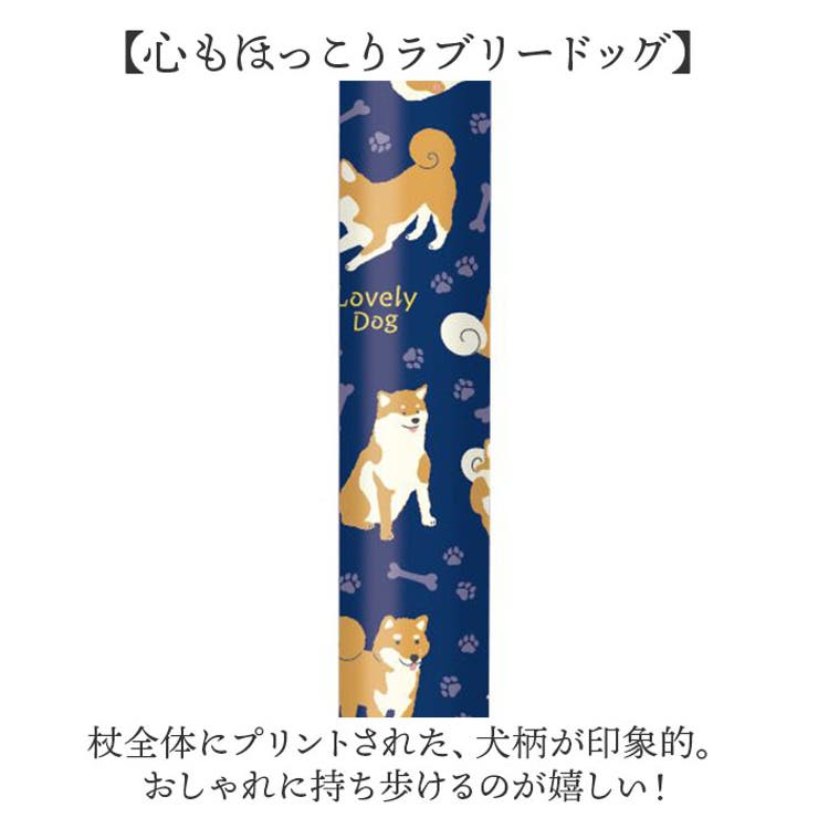 杖
