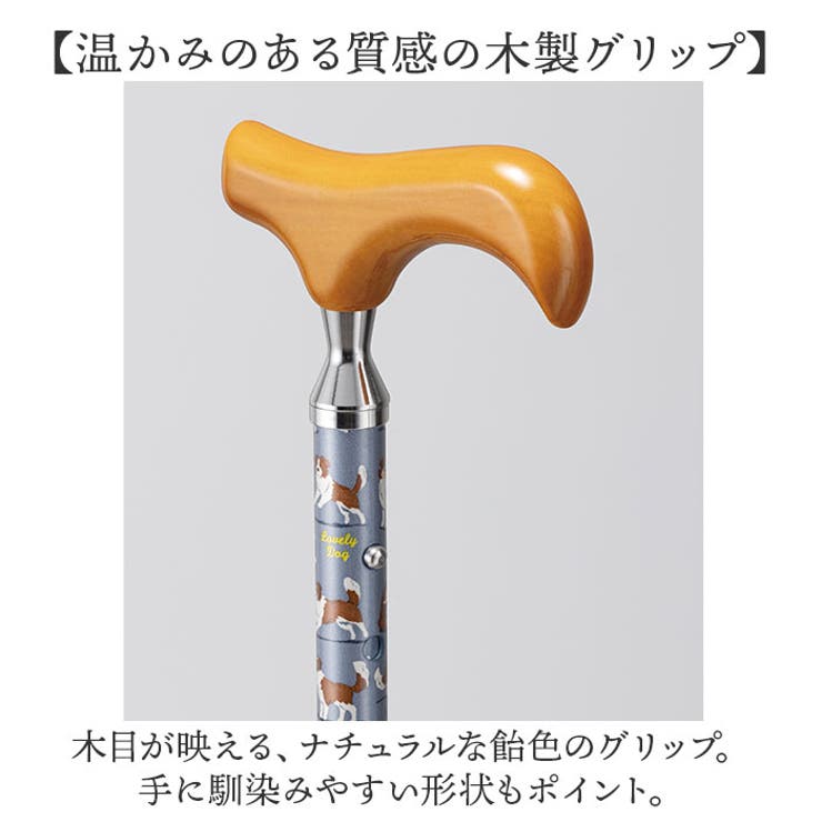 杖