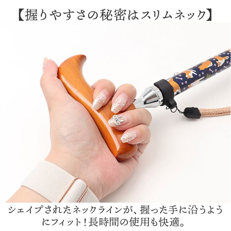 杖