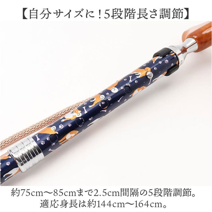 杖