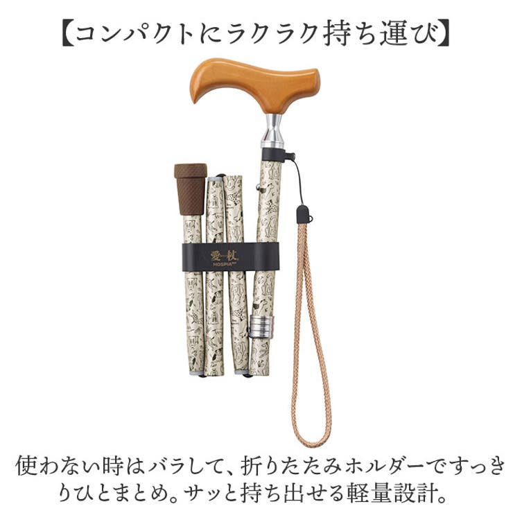 杖