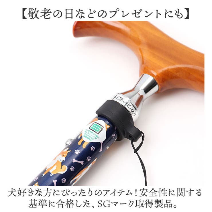 杖