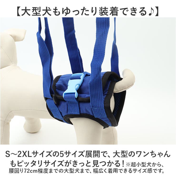 犬 介護用ハーネス 後足用 歩行補助[品番：BCYW0033903]｜BACKYARD