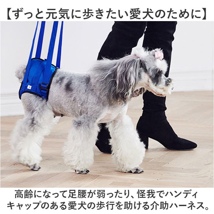 犬 介護用ハーネス 後足用 歩行補助[品番：BCYW0033903]｜BACKYARD