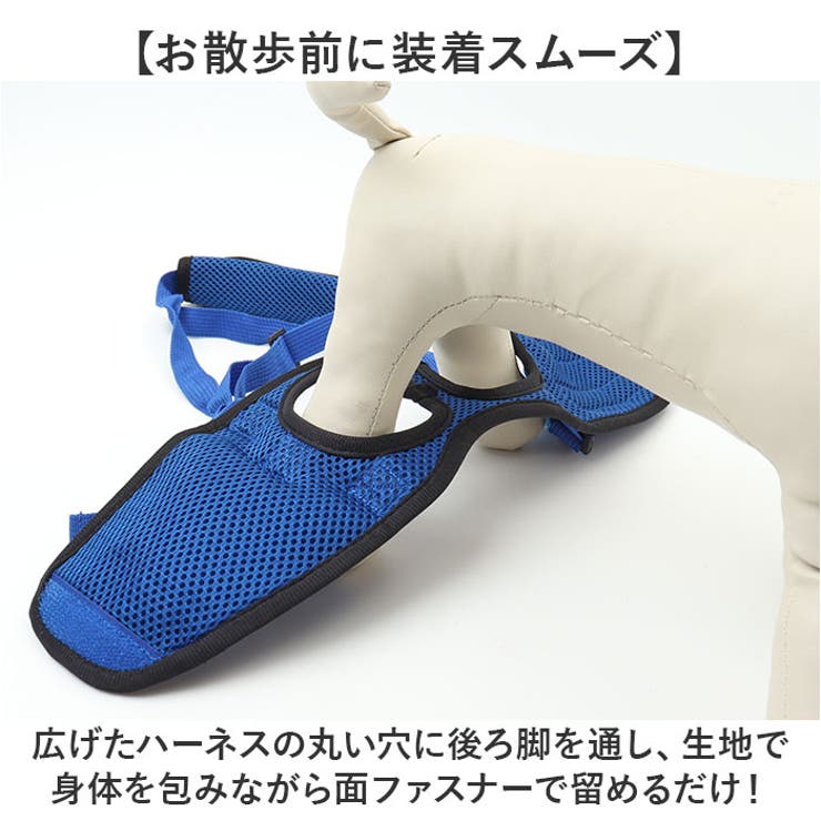 犬 介護用ハーネス 後足用 歩行補助 | BACKYARD FAMILY | 詳細画像4 