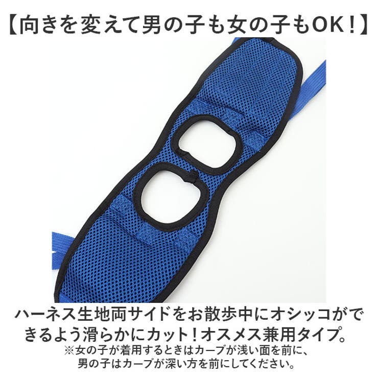 犬 介護用ハーネス 後足用 歩行補助 | BACKYARD FAMILY | 詳細画像10 