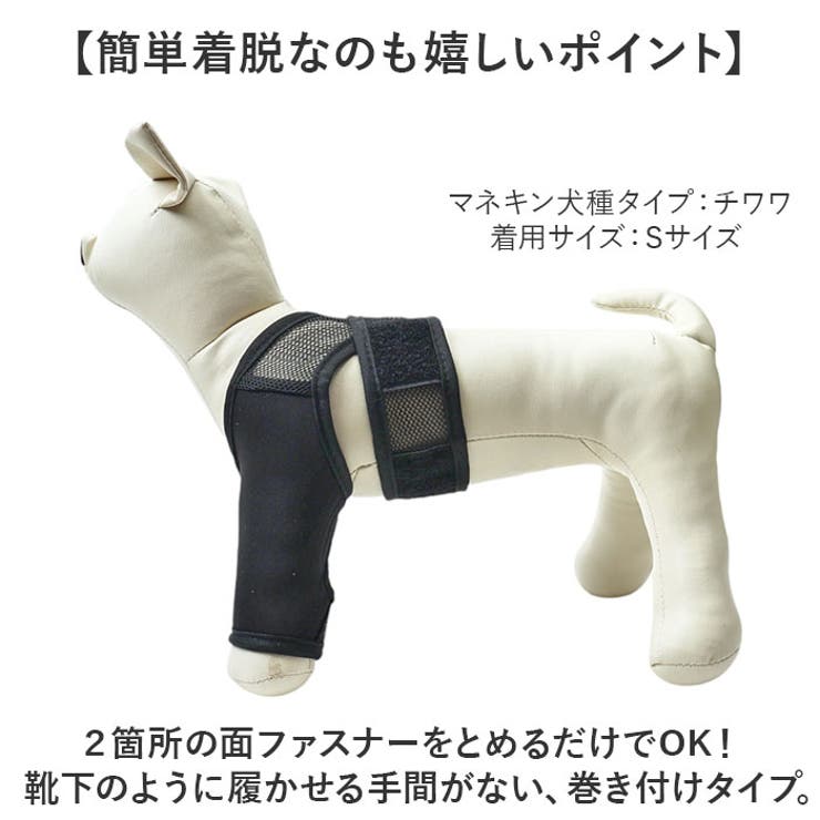 犬 サポーター 前足後足左右兼用 | BACKYARD FAMILY | 詳細画像7 