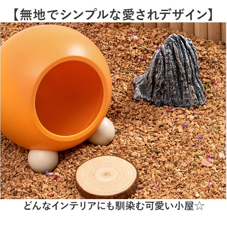 ハムスター