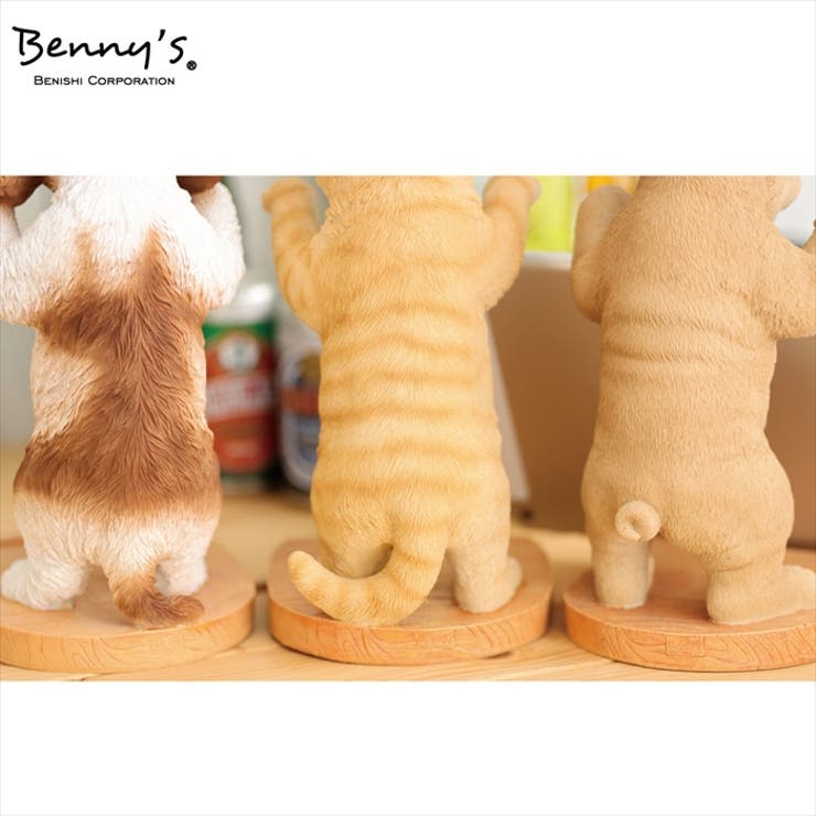 アニマルスタンド | BACKYARD FAMILY | 詳細画像12 