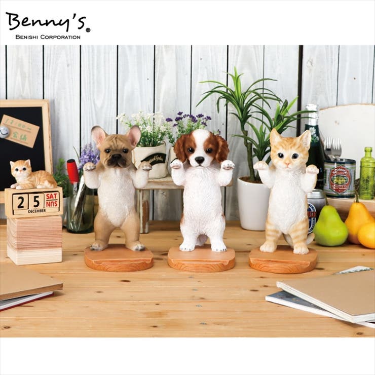 アニマルスタンド | BACKYARD FAMILY | 詳細画像9 