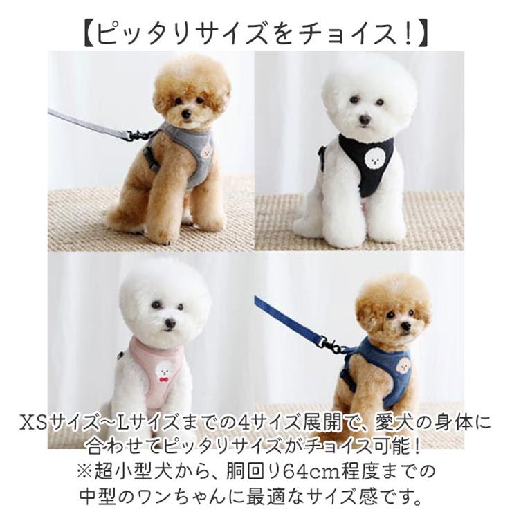 ハーネス 犬 リード 小型犬 可愛い | BACKYARD FAMILY | 詳細画像13 