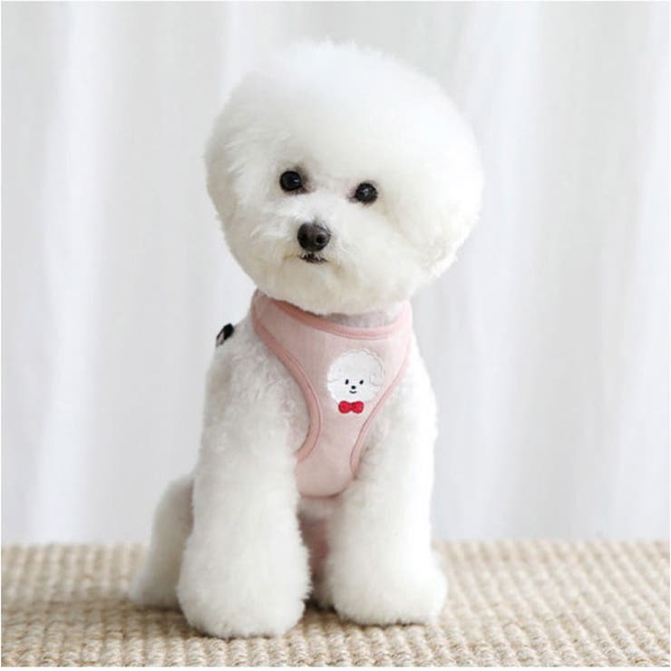 ハーネス 犬 リード 小型犬 可愛い | BACKYARD FAMILY | 詳細画像4 