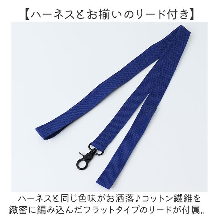 ハーネス 犬 リード 小型犬 可愛い | BACKYARD FAMILY | 詳細画像8 