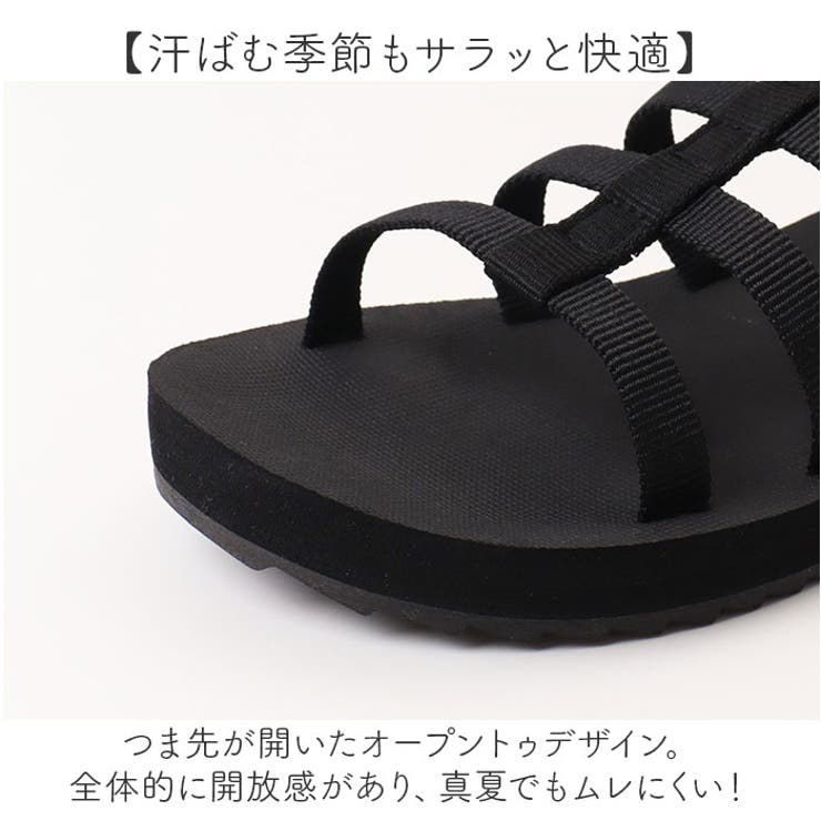 Arnie Arnold Palmer | BACKYARD FAMILY | 詳細画像5 