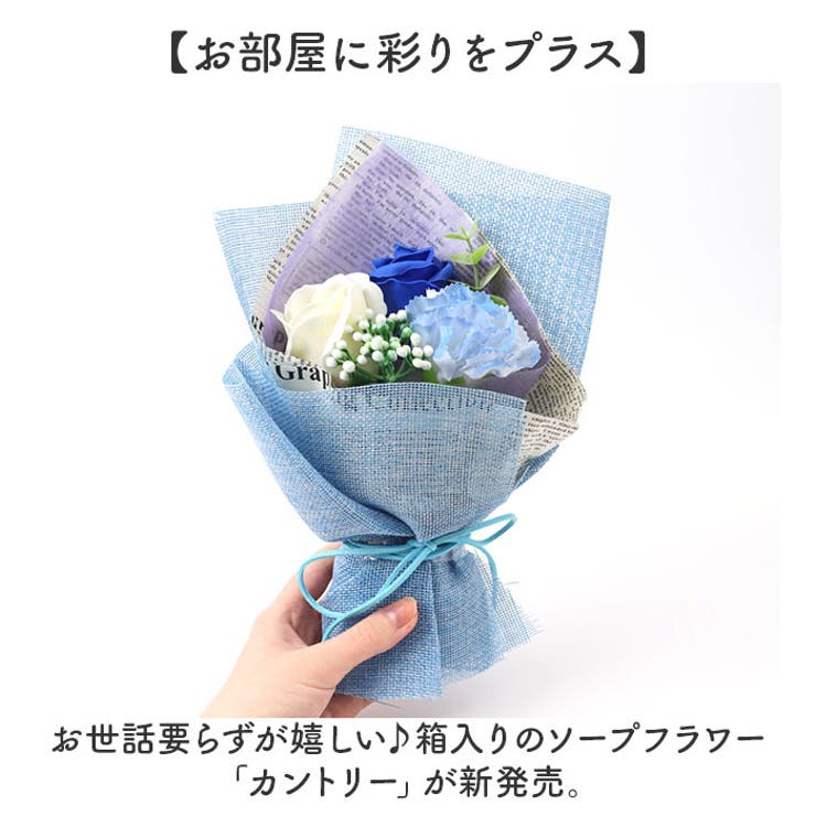 カントリー | BACKYARD FAMILY | 詳細画像2 