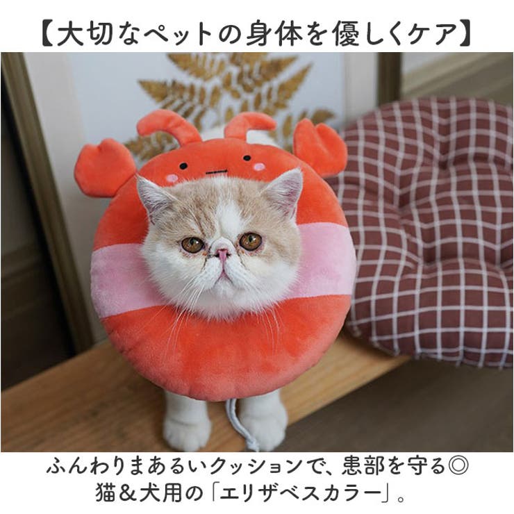 エリザベスカラー 猫用 犬用 | BACKYARD FAMILY | 詳細画像2 