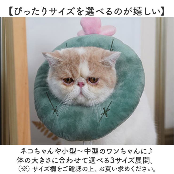 エリザベスカラー 猫用 犬用 | BACKYARD FAMILY | 詳細画像12 