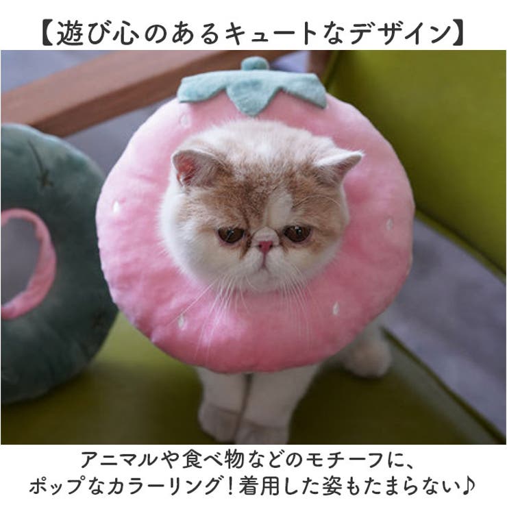エリザベスカラー 猫用 犬用 | BACKYARD FAMILY | 詳細画像13 