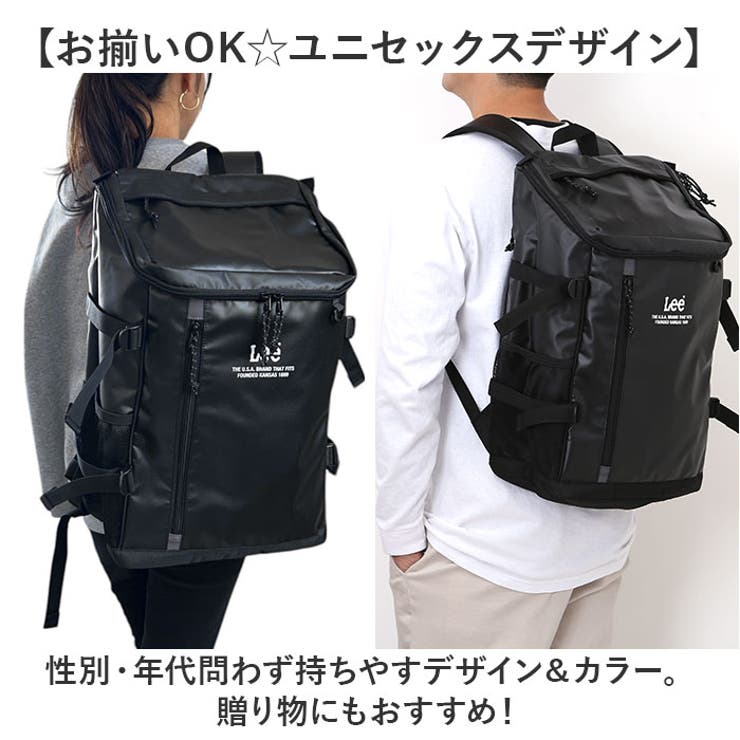 Lee ストライプ キャリーバッグ　リュック Lee 犬 リュック キャリーバッグ セール スクエア 〔小型犬