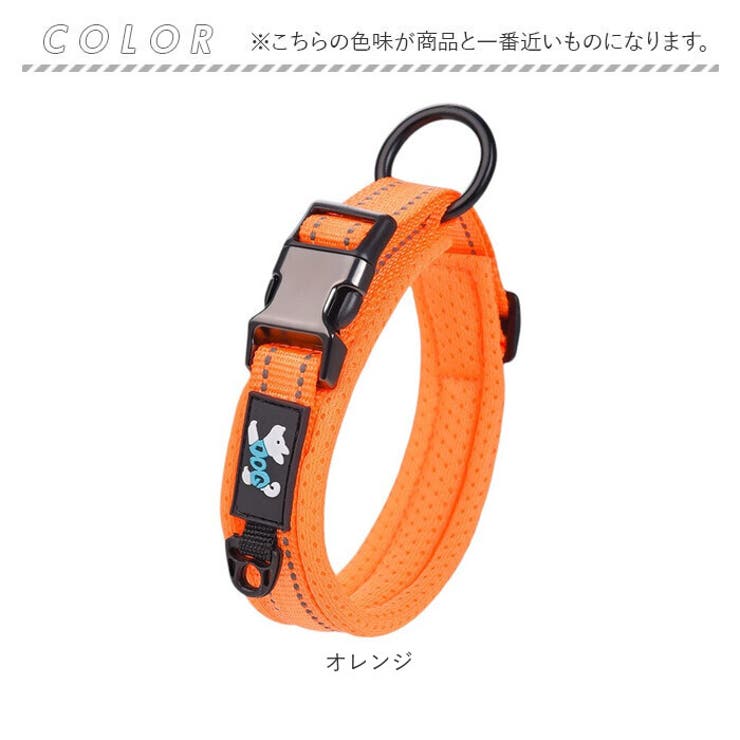 犬用 首輪 軽い | BACKYARD FAMILY | 詳細画像12 