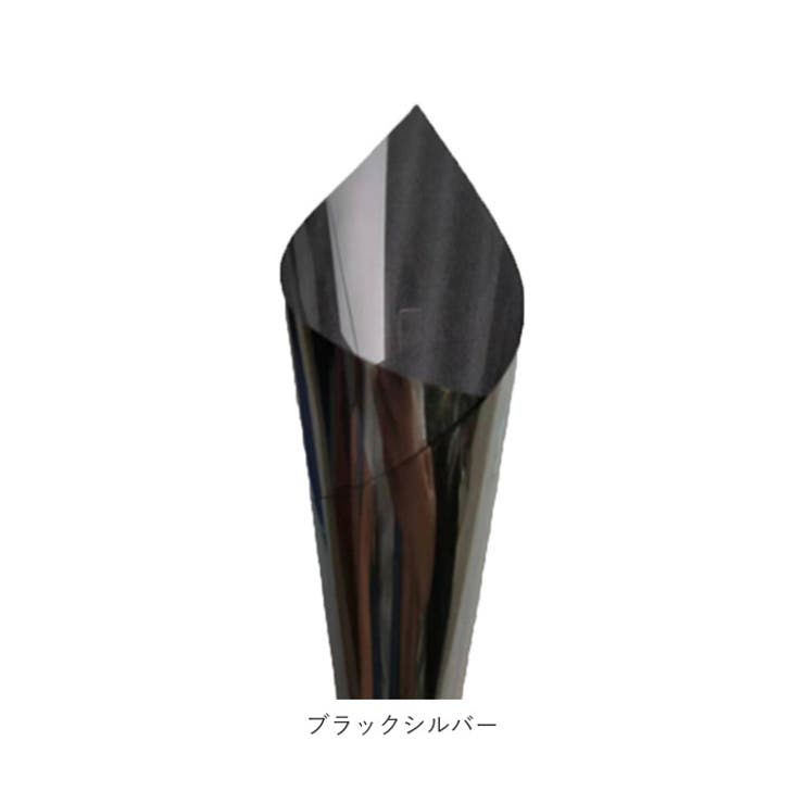 glassgrm マジックミラー フィルム 90×200CM | BACKYARD FAMILY | 詳細画像16 