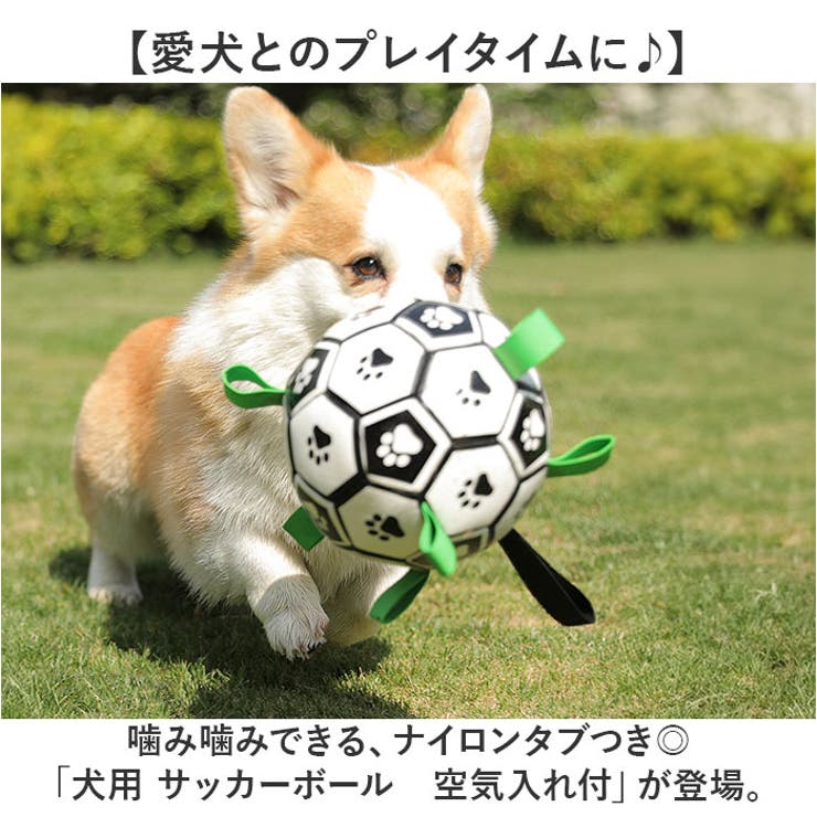 犬用 サッカーボール おもちゃ 空気入れ付き | BACKYARD FAMILY | 詳細画像2 