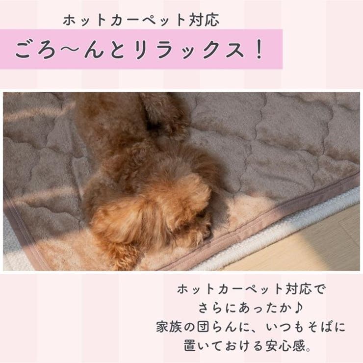 プレミアムフランネルペットパッド M | BACKYARD FAMILY | 詳細画像7 